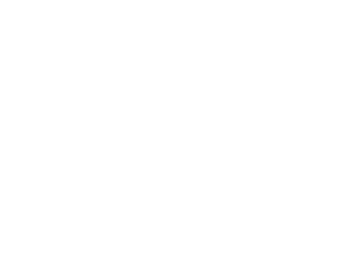 Ricami Roma